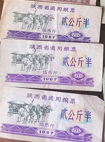 粮票2.jpg